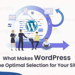 What Makes WordPress the Optimal Selection for Your Site